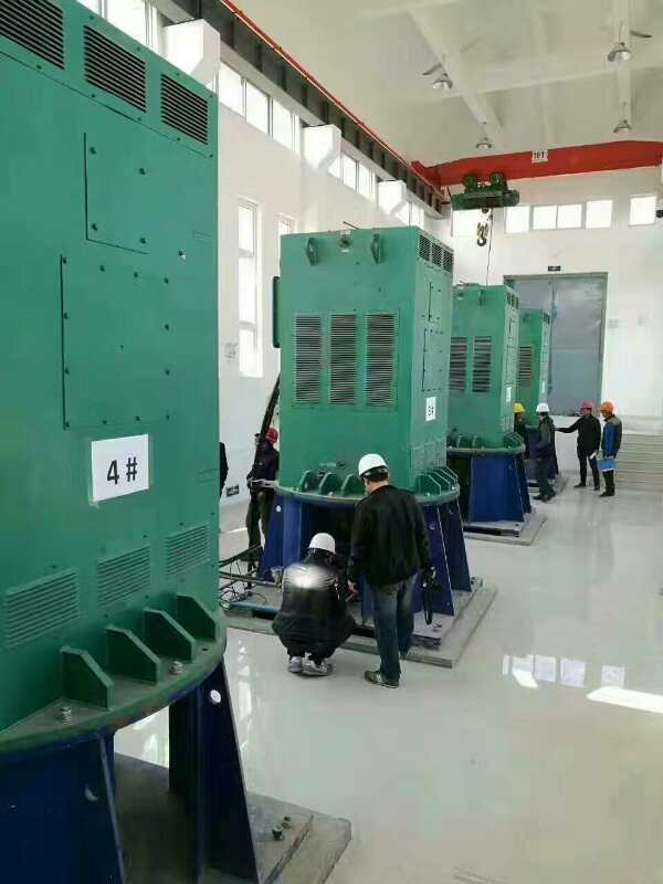 渭南某污水处理厂使用我厂的立式高压电机安装现场